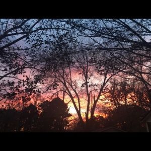 Meet your Posher, Edgar